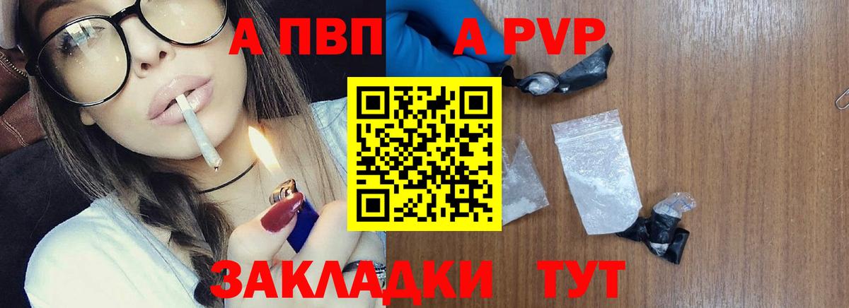 Альфа ПВП СК Балтийск