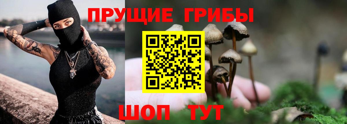 Балтийск  Галлюциногенные грибы Magic Shrooms  Вход с VPN 